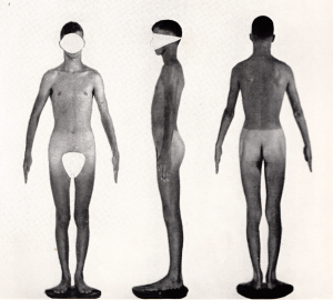 Example of Extreme Ectomorphic Body Type. From: "Atlas of Men" W.H. Sheldon