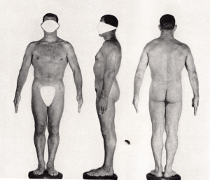 Mesomorph